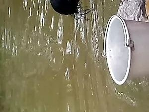 समुद्र के किनारे सनी ...