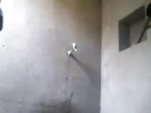 वह मेरी ड्रीम गर्ल ह ...