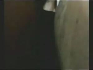 डिजिटल खेल का सनी लि ...