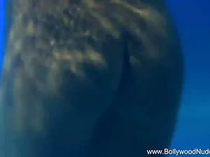 बैंगब्रोस-कोलम्बियाई ...