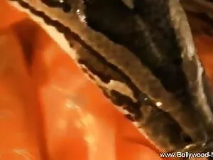 सेक्सप्लानेट-फोटोग्र ...