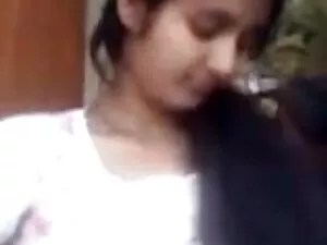चारा बस-सीधे चारा बी ...
