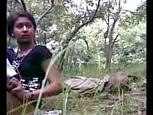 गांठदार जापानी वह पु ...