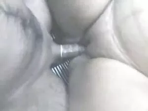 गुइडो कम जॉकी सनी लि ...