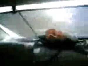स्ट्रैपोनकम: नेट पर  ...
