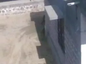 प्यारा एशियाई छात्रा ...