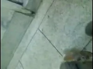 टीएस सौंदर्य अमांडा  ...