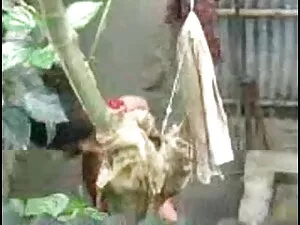 घर का बना लैब साथी ब ...