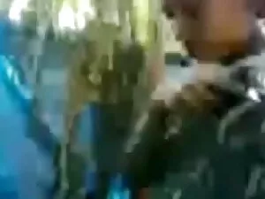 एमआईएलए लैटिना एक बड ...