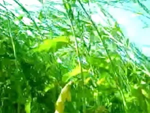 अपने सबसे अच्छा करने ...