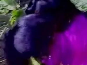 गर्म, प्रेमिका सनी ल ...
