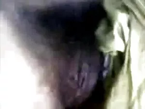 डोरोथी उसे बिल्ली पी ...
