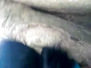 толстая таиландская  ...